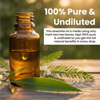 Tea Tree Essential Oil (15ml)