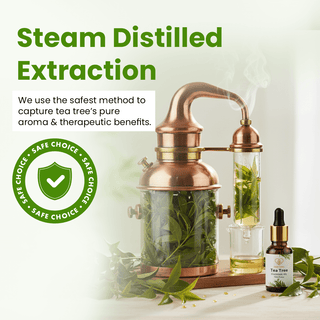 Tea Tree Essential Oil (15ml)