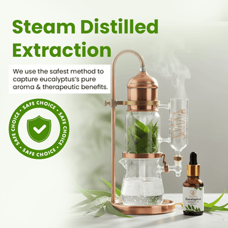 Eucalyptus Essential Oil (15ml)