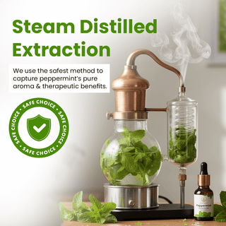Peppermint Essential Oil (15ml)