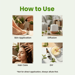 Tea Tree Essential Oil (15ml)