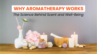 Why Aromatherapy Works - The Science Behind Scent and Well-Being