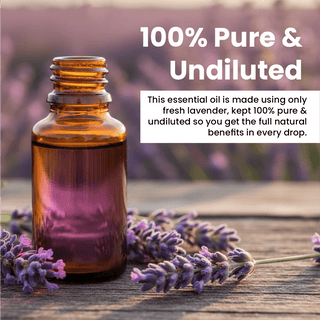 Lavender Essential Oil (15ml)