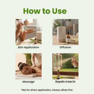 Lemongrass Essential Oil (15ml)